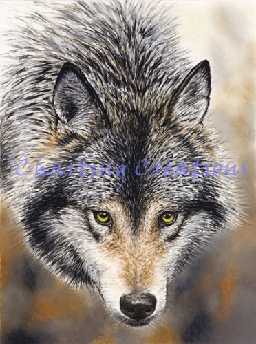 (image for) Nature's Beauty